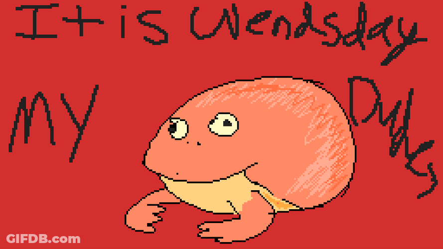 Its Wednesday My Dudes Frog Animation GIF