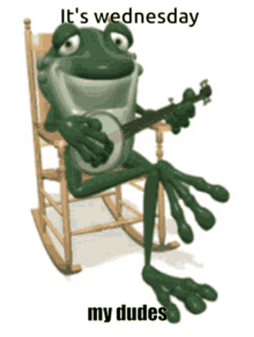 Its Wednesday My Dudes Frog Playing Guitar Animation GIF