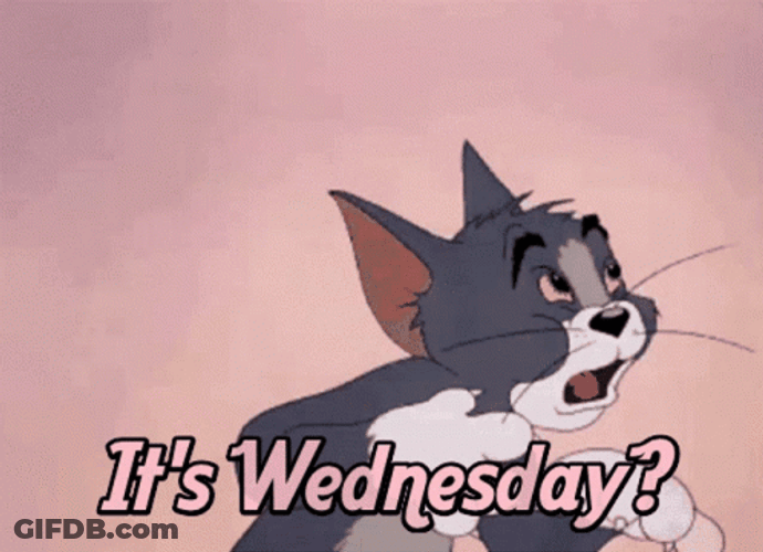 Its Wednesday Shocked Jerry Cat GIF
