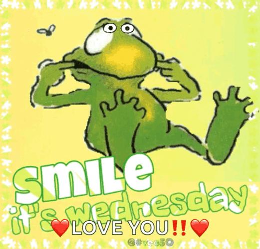 Its Wednesday Smile Kermit The Frog GIF