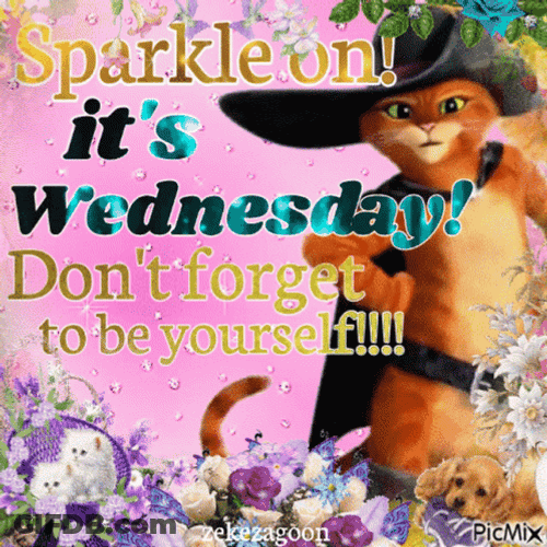Its Wednesday Sparkle Sticker GIF