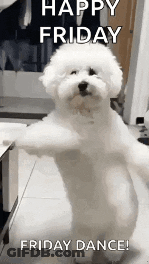 Its Your Birthday Happy Birthday GIF