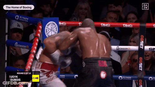 Iusyk Dubois Vs Ringside Boxing Match GIF