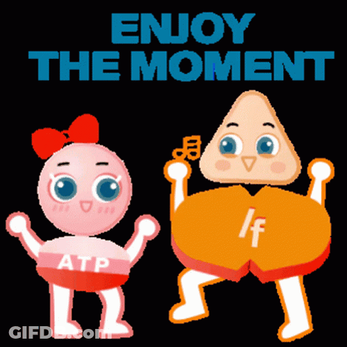 Ivabradine And Trimetazidine Enjoy The Moment GIF