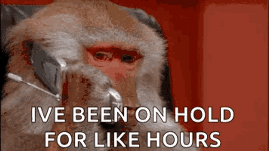 Ivebeenonholdforlikehours Onholdforever GIF