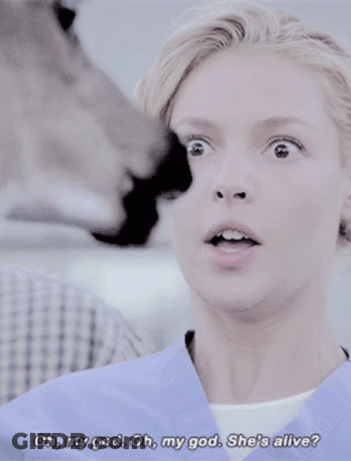 Izzie Stevens Hes Alive GIF