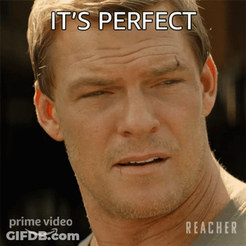 Jack Reacher Alan Ritchson Perfection GIF