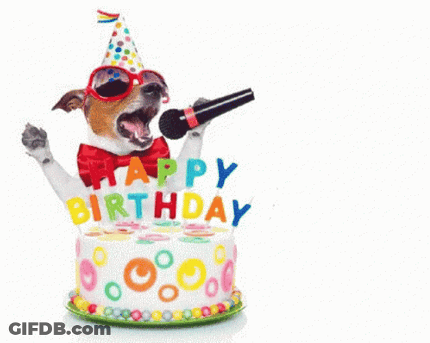 Jack Russell Birthday Party GIF