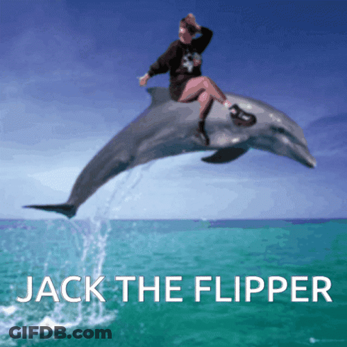 Jack The Flipper Dolphi GIF