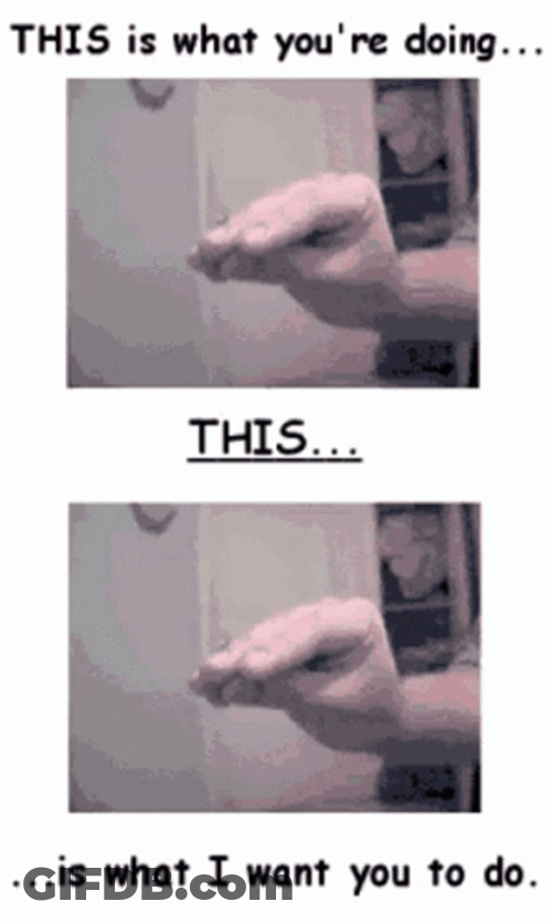 Jackass GIF