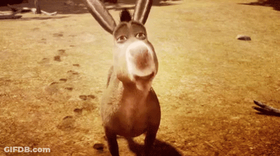 Jackass GIF