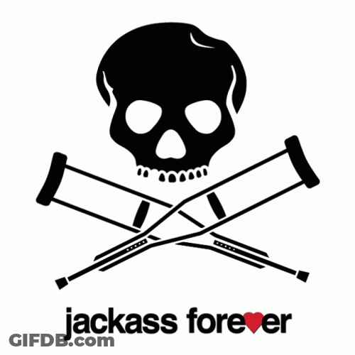 Jackass GIF