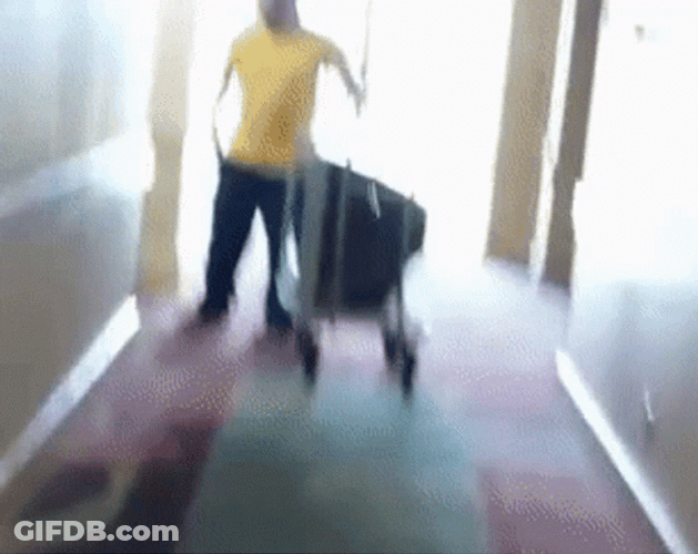 Jackass GIF