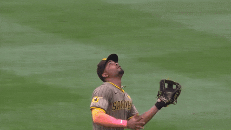 Jackson Merrill Proud Catch GIF