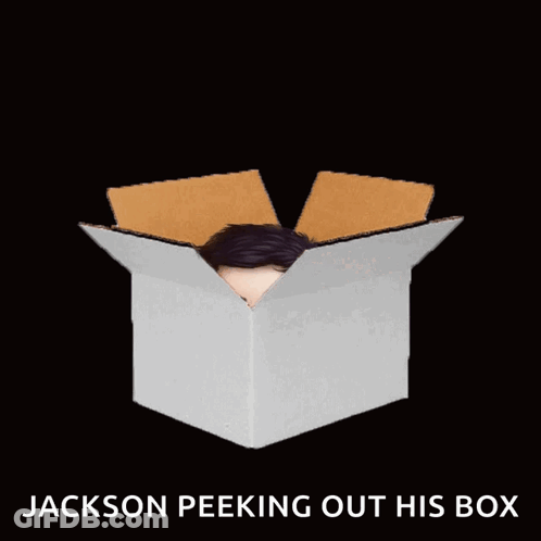 Jackson Peeking Out His Box GIF