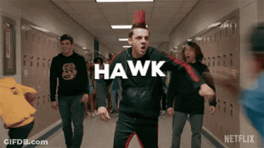 Jacob Bertrand Fighting Hawk GIF