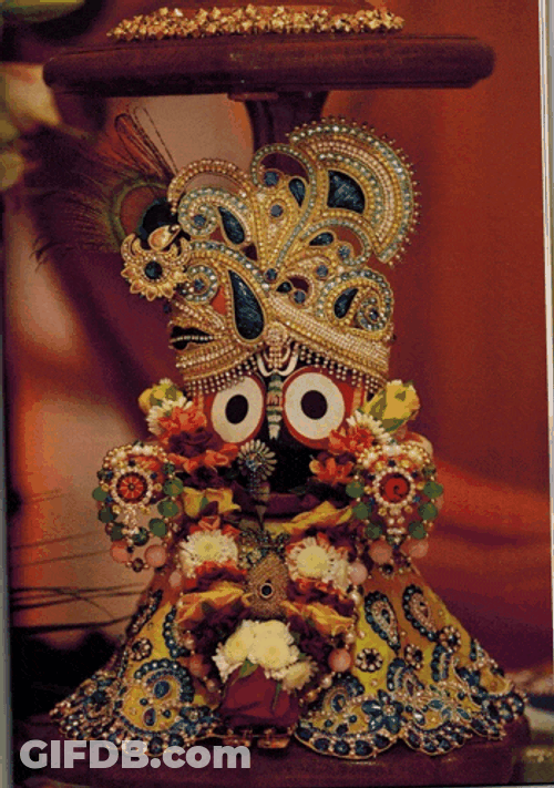 Jagannath Meme GIF