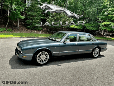 Jaguar Car Parked In Front Of Large Jaguar Logo GIF