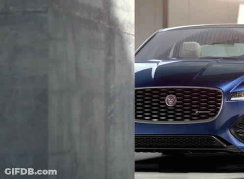 Jaguar Driving License Plate 901 UCN GIF