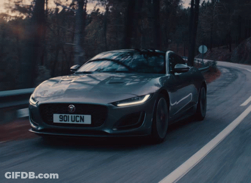 Jaguar Driving With License Plate 901 UCN GIF