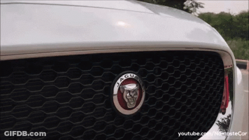 Jaguar Emblem On Car GIF