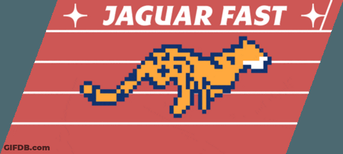 Jaguar Fast Running GIF