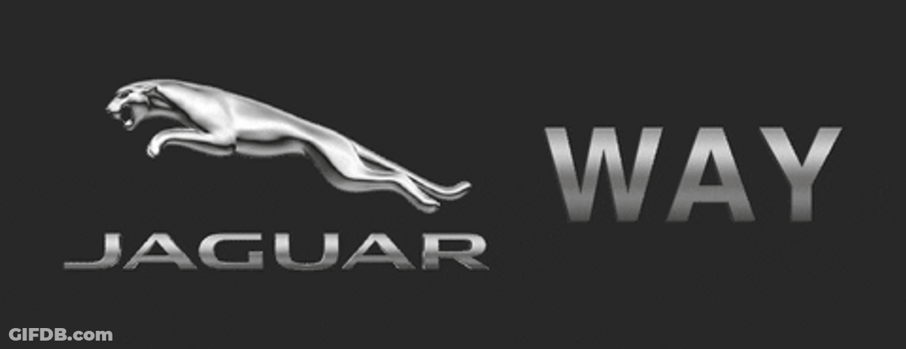 Jaguar On The Way GIF