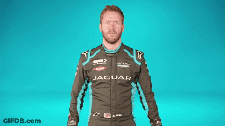 Jaguar Sam Bird Helmet GIF