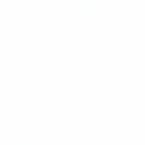 Jaguar Team Football Goal Net GIF