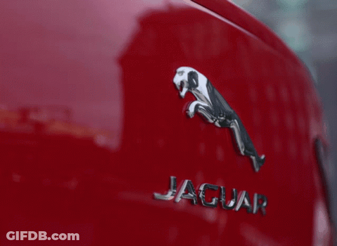 Jaguar Two Logo In One Car GIF