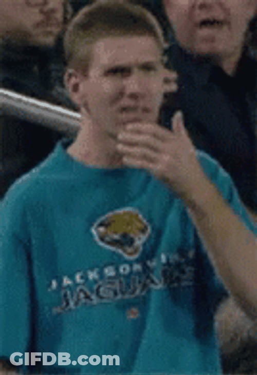 Jaguars It's So Amazing GIF