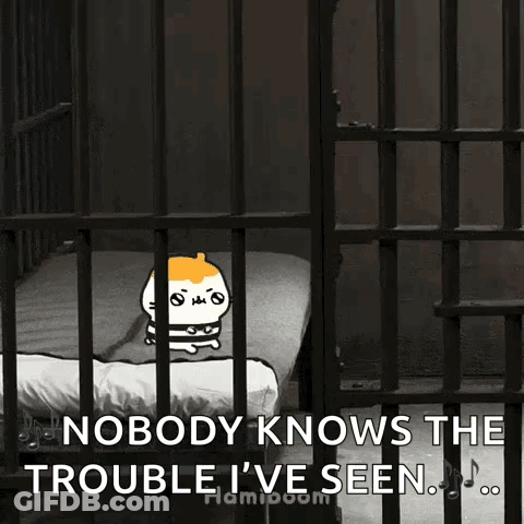 Jailed Cat Nobody Knows The Trouble I've Seen GIF