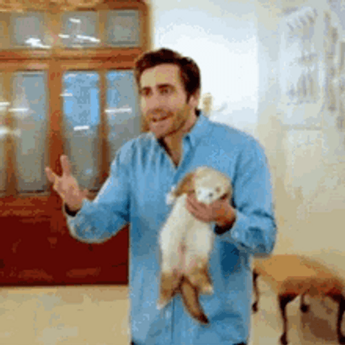 Jake Gyllenhaal Holding Ferret GIF