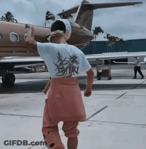 Jake Paul Climbs Up Plane GIF