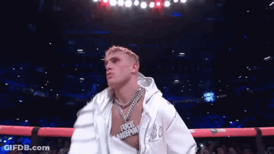 Jake Paul Cool Guy GIF