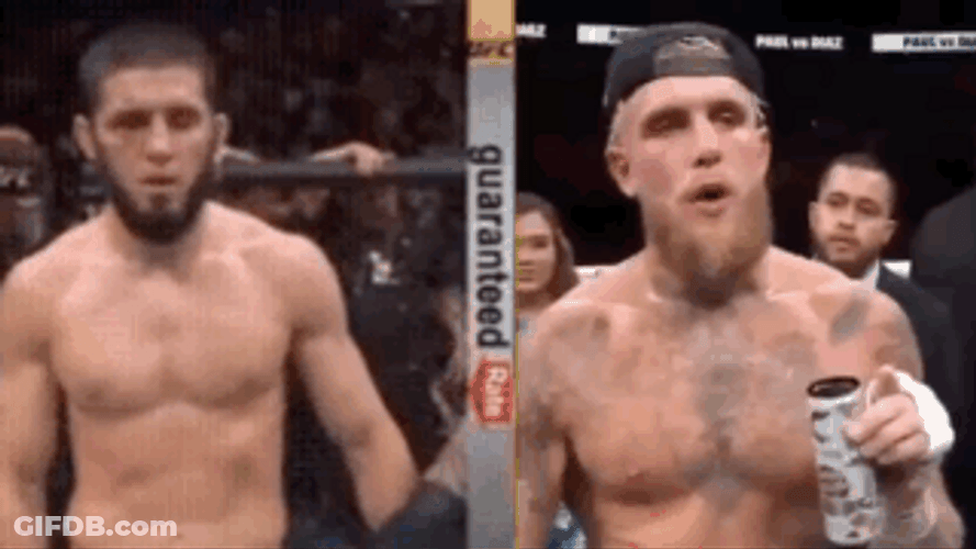 Jake Paul Islam Makhachev GIF