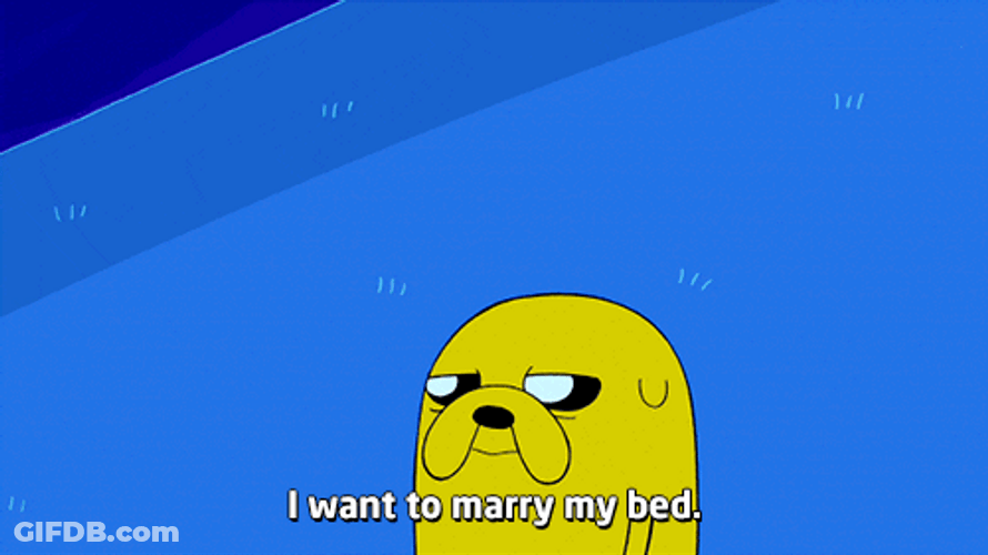 Jake The Dog I Want To Marry My Bed GIF