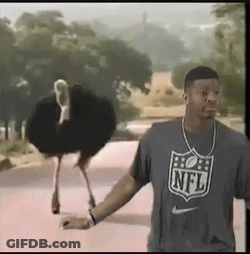Jameis Winston NFL Background GIF