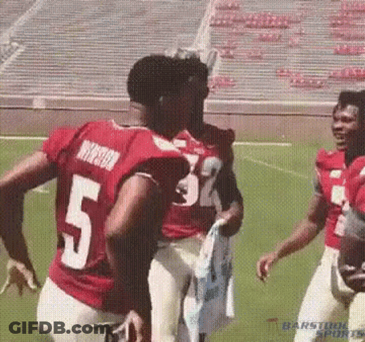 Jameis Winston NFL Meme GIF