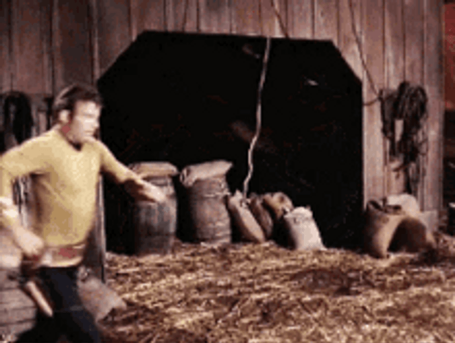 James Kirk Star Trek Kick GIF