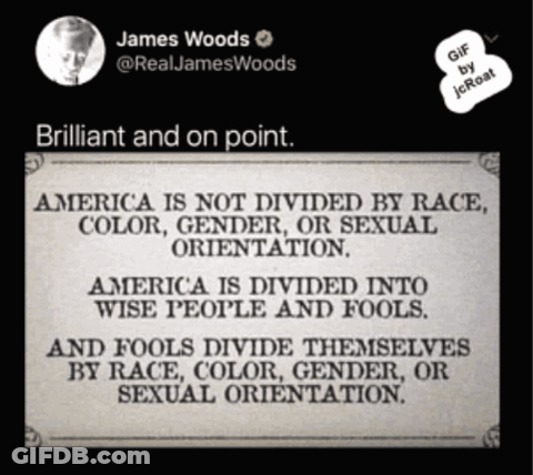 James Woods Tweet About America Divided GIF
