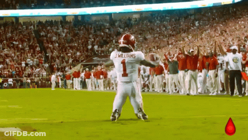 Jameson Williams GIF