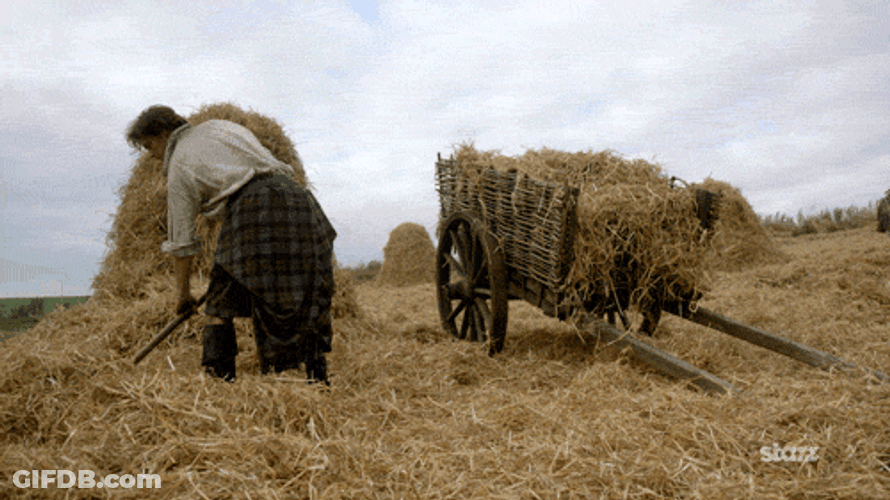 Jamie Fraser Working Hay GIF