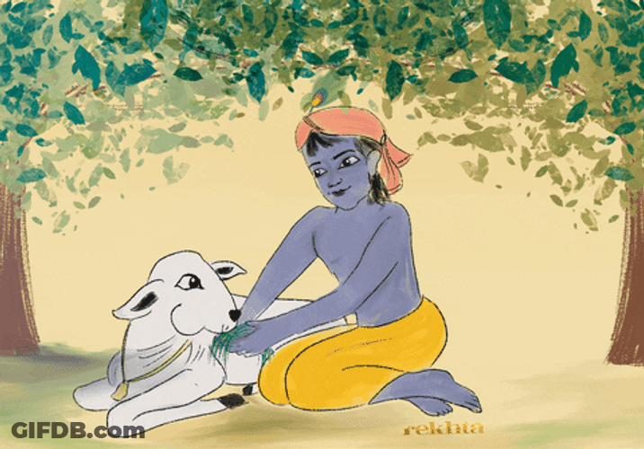Janmashtami Krishna Feeding Cow Animation GIF
