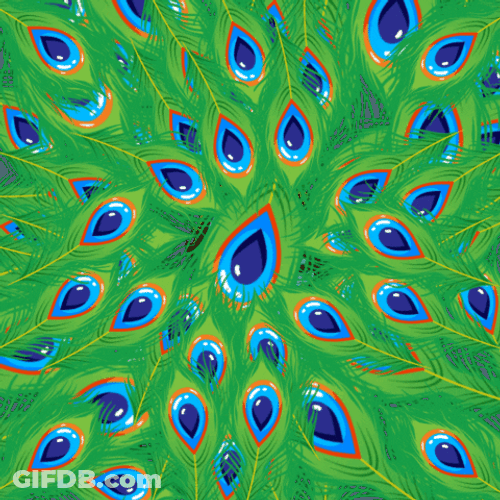 Janmashtami Peacock Feathers Krishna Reveal GIF