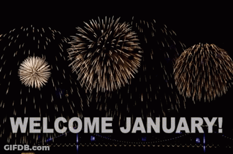 January Sparkling Fireworks Display GIF