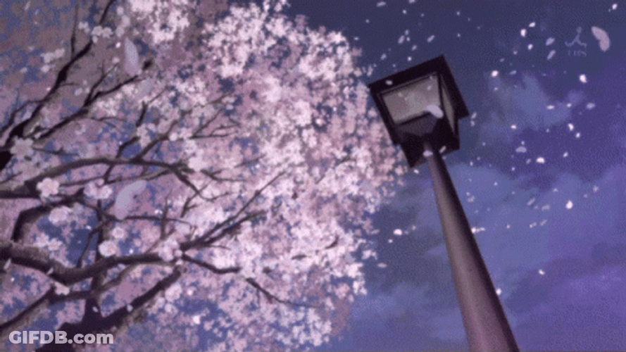 Japan Blossom Scene GIF