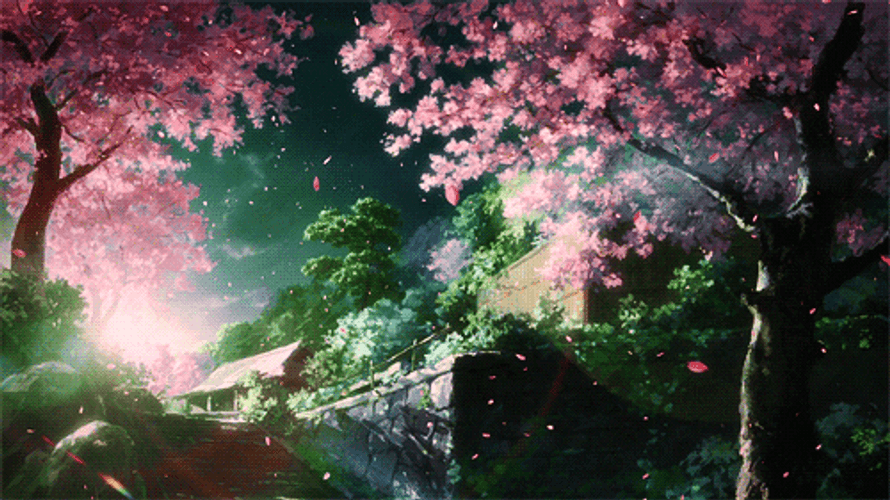 Japan Tumblr Flower Falling Petals GIF