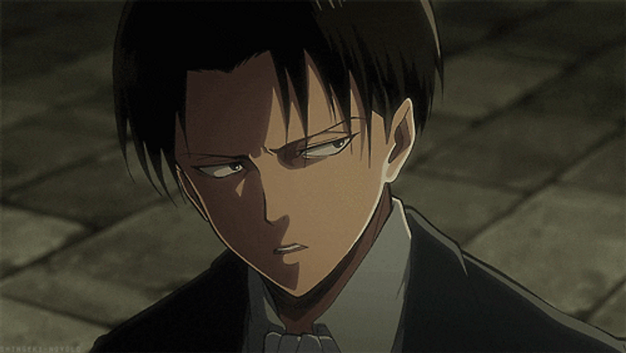 Japanese Anime Levi GIF