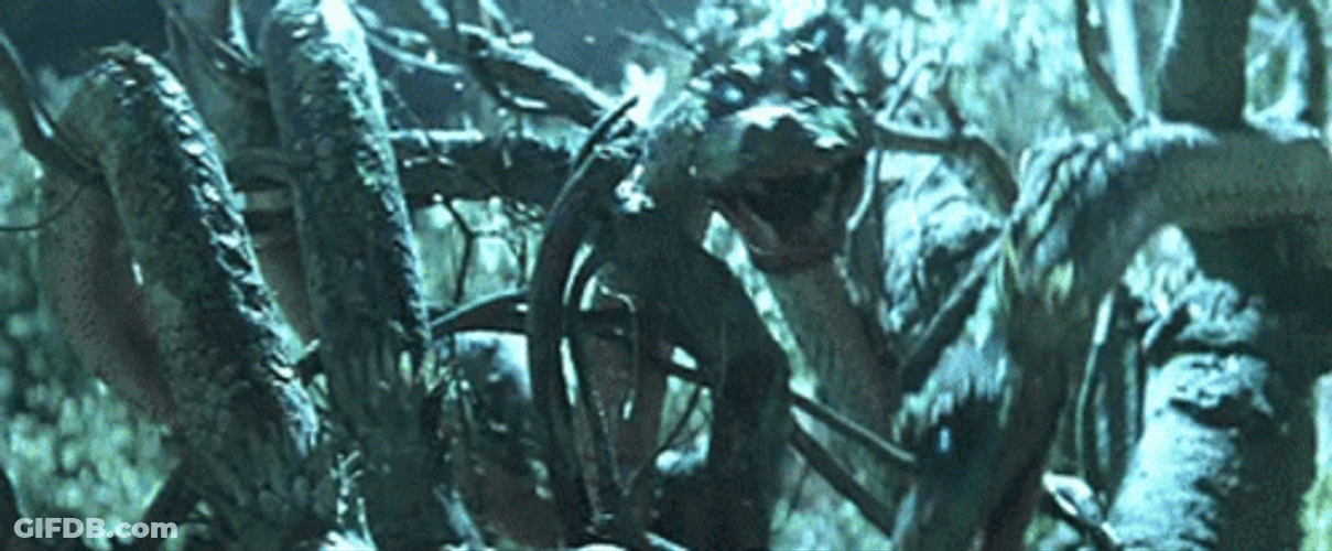 Japanese Dragon Three Treasures 1959 GIF